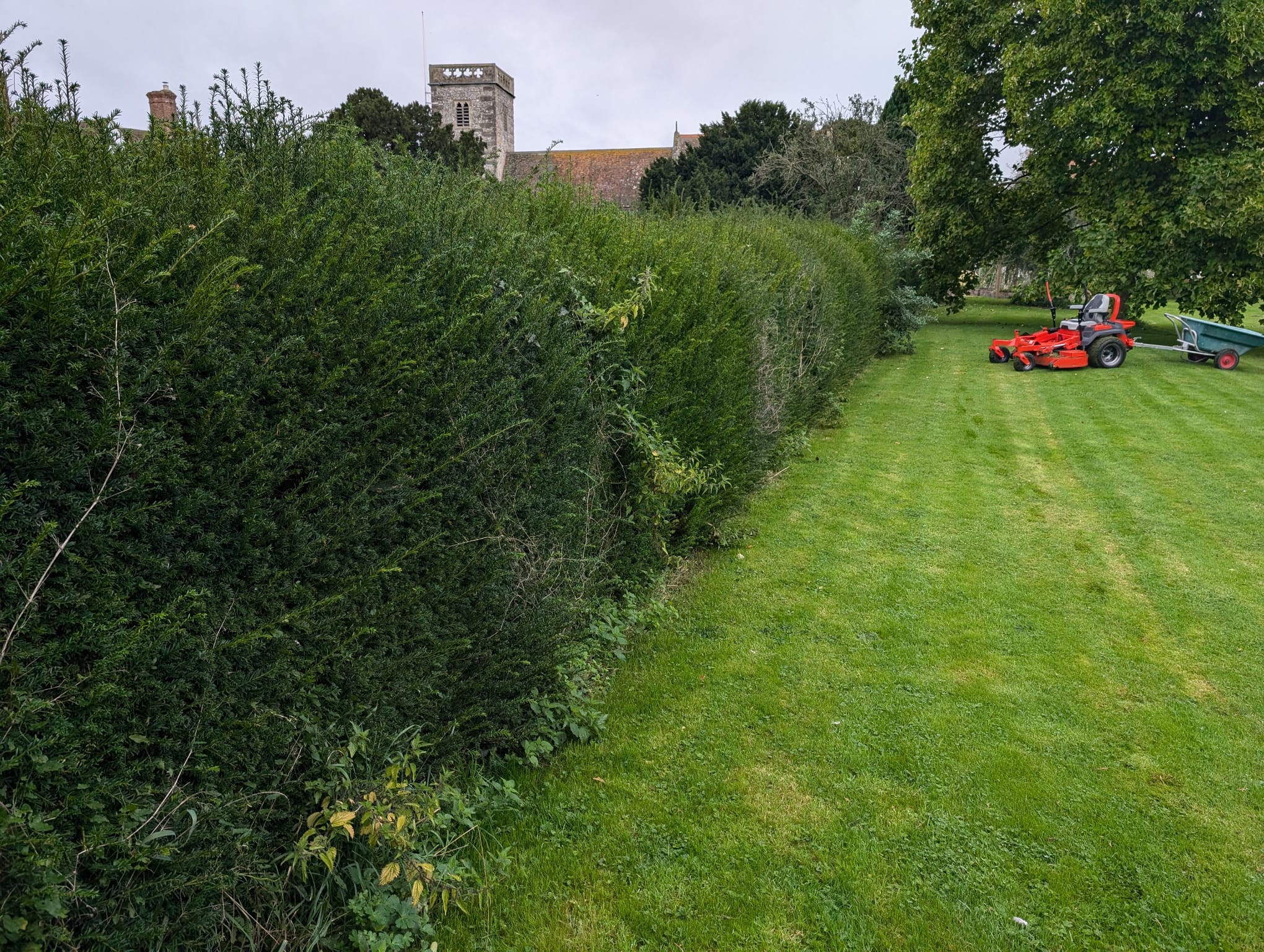 Overgrown Recovery